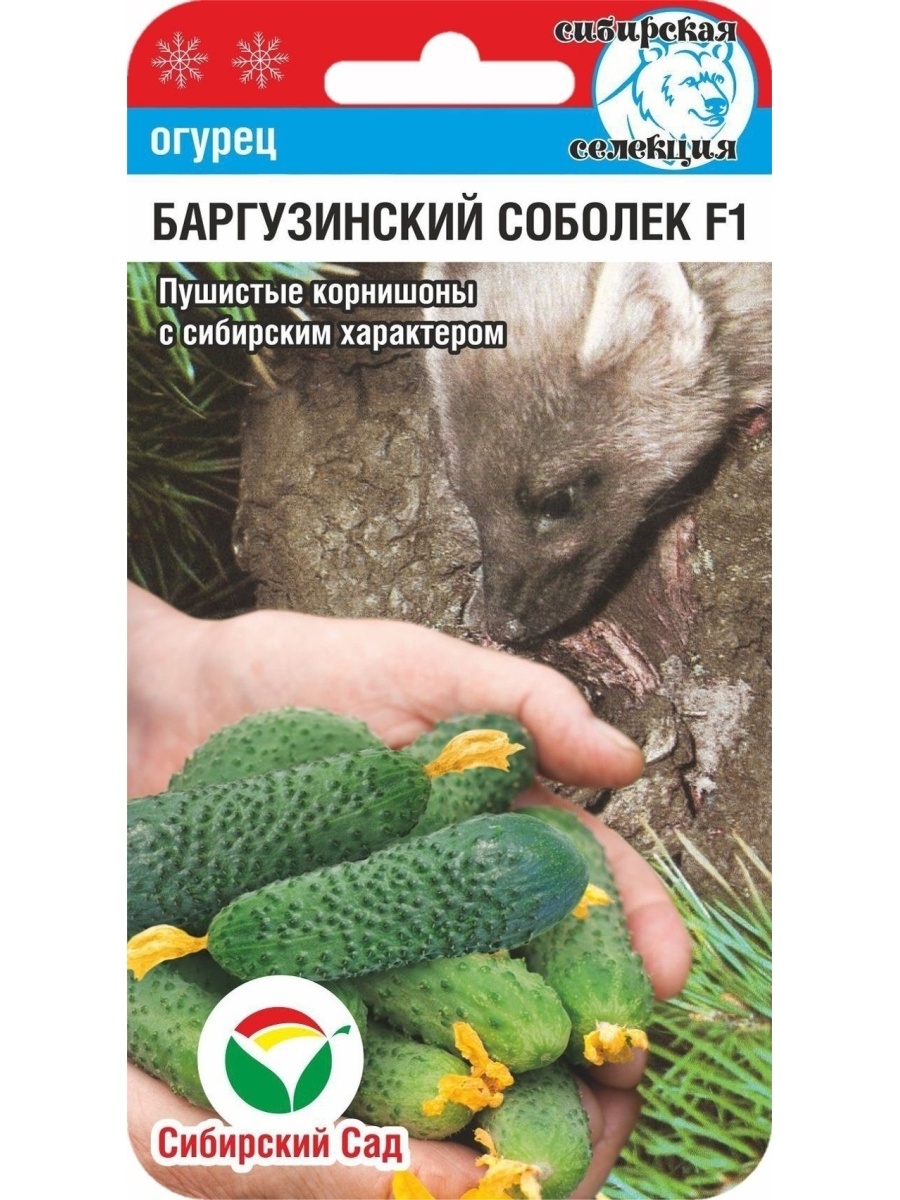 49a8c381909e242e179f2e8639cbd7d9.jpg