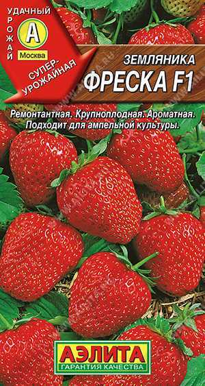 50c822d4f5d062f876a6b1e6124f8995
