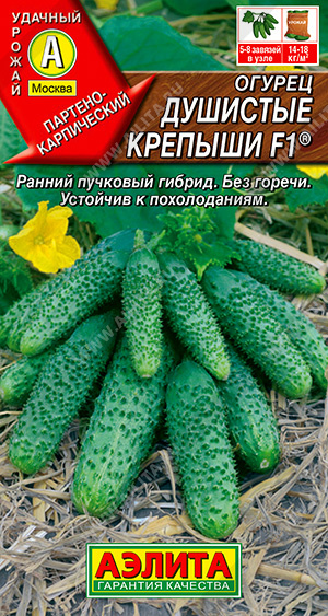 5ed50d9e0fb84b5bcdb2ec186d920836.jpeg