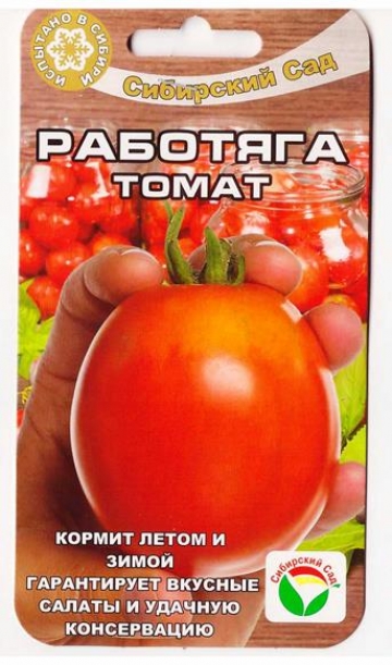 77276da799b877695939da4f9caa80bb.jpg