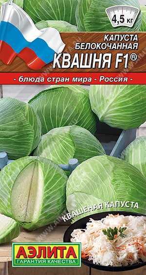 9687bc742ffeb46a438909886b105dee