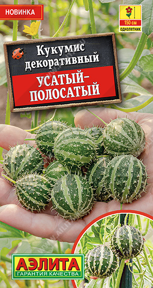 b1262dff3ceac0e812bfeee8aba63f15
