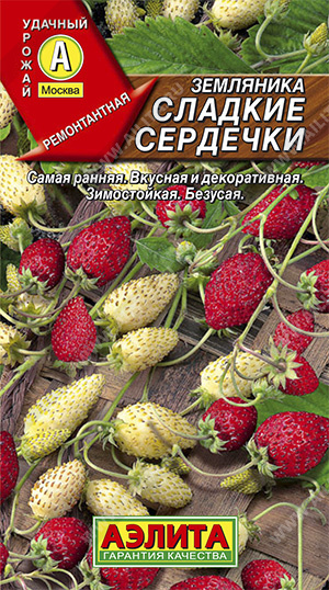 efe1bc0f62800834e5f16c7dc548d3c4
