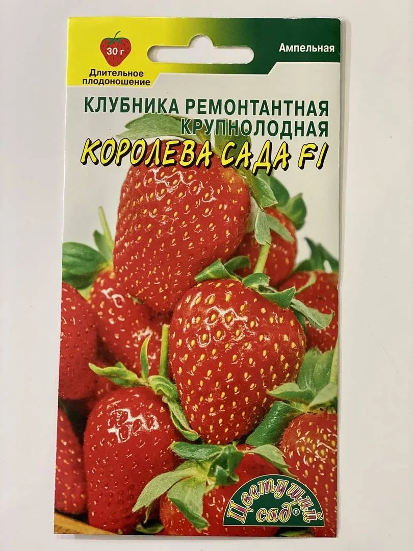 izobrazhenie-2021-07-25-100253