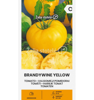 pomidorai-valgomieji-brandywine-yellow